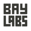 Bay Labs mark